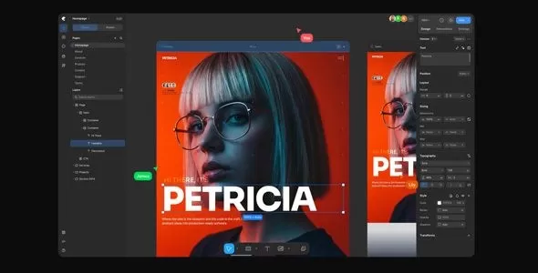 Kirki Pro 6.2.0 – WordPress主题定制器框架插件