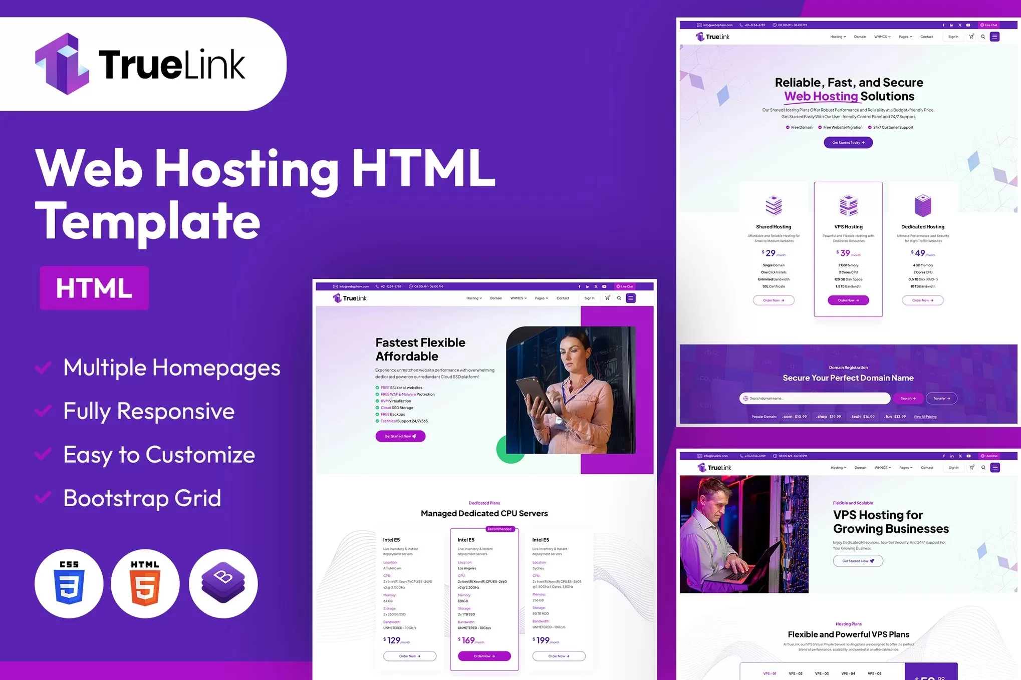 TrueLink – 网站托管HTML模板,域名空间服务商官网
